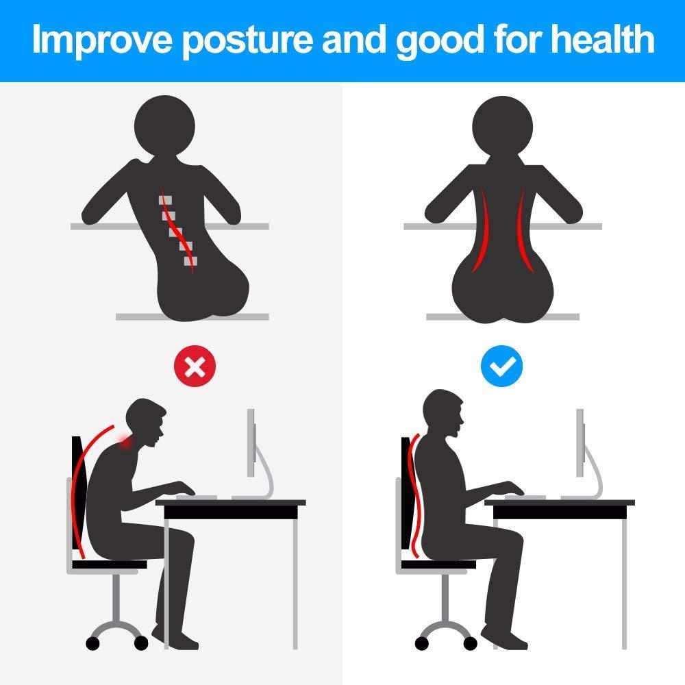Posture Correction Belt