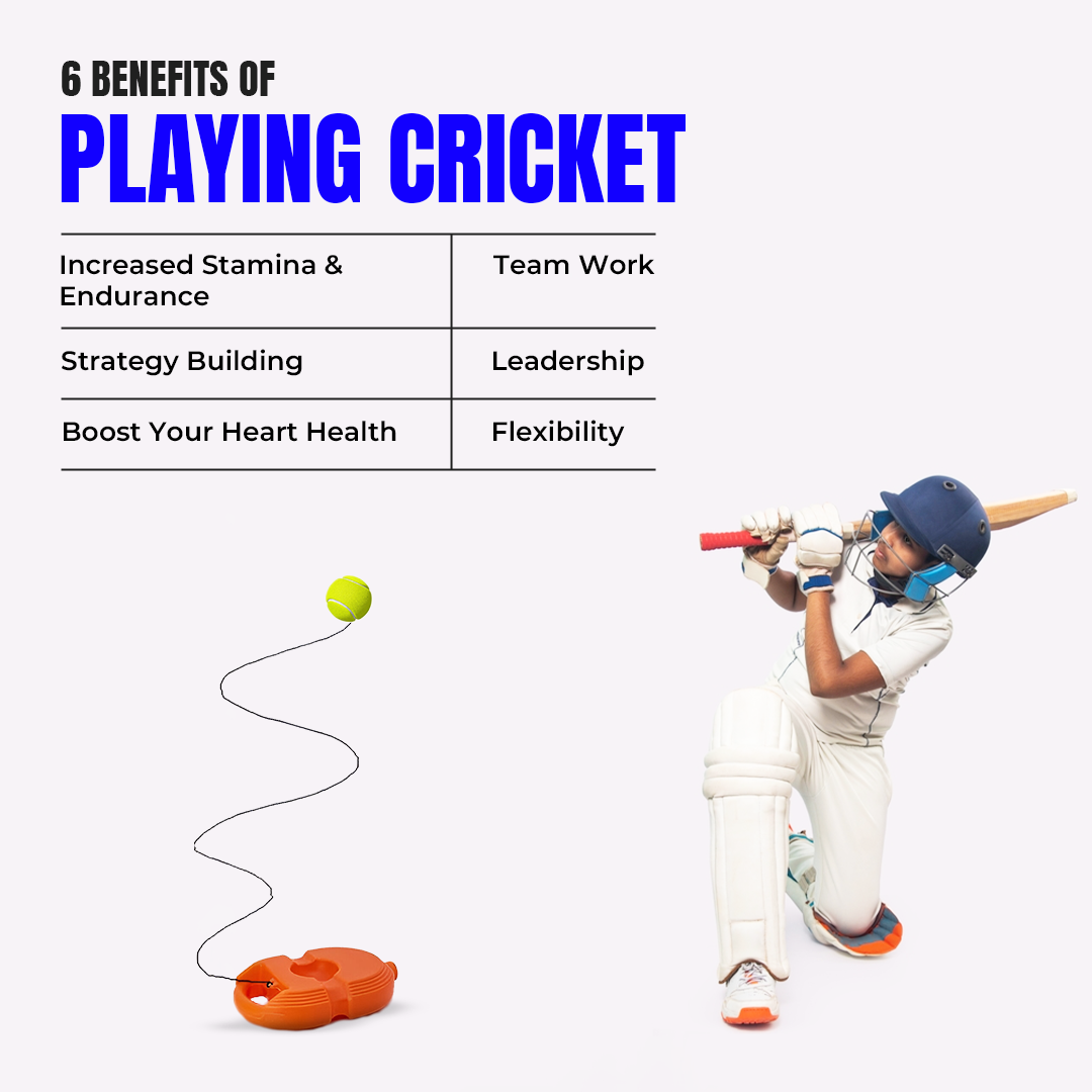 🏏Cricket Trainer Rebound Ball || Self  Cricket Practice Training Tool for Adults & Kids